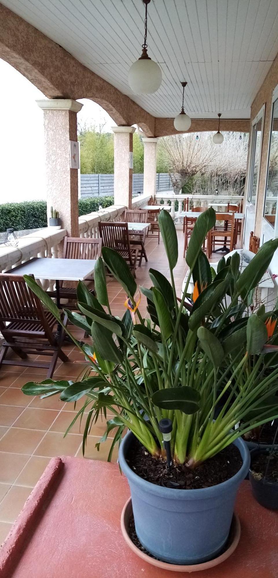 ホテル Le Grand Jardin Aujargues エクステリア 写真